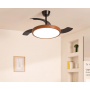CREATE CLEAR STUDIO M(108CM) WIFI
